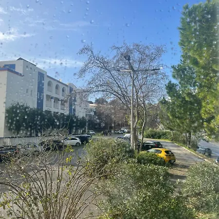 Bayview 213 אלבופיירה